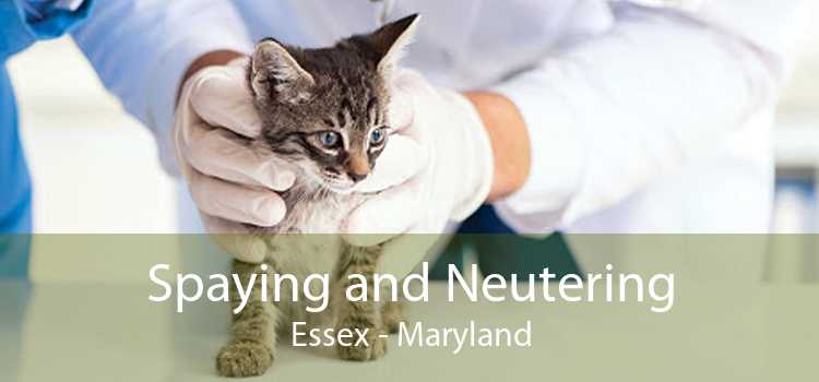 Spaying and Neutering Essex - Maryland