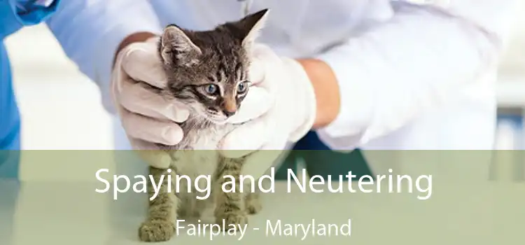 Spaying and Neutering Fairplay - Maryland