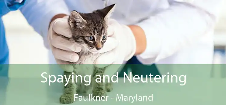 Spaying and Neutering Faulkner - Maryland