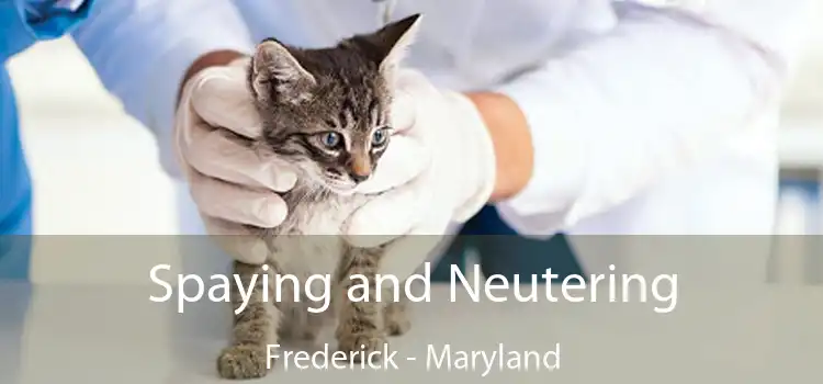 Spaying and Neutering Frederick - Maryland