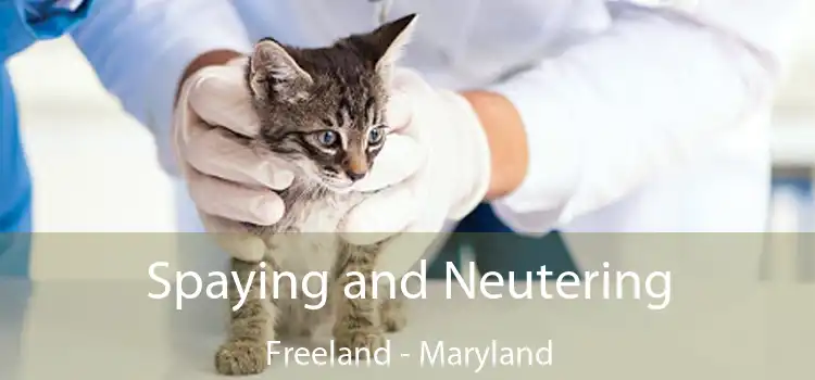 Spaying and Neutering Freeland - Maryland