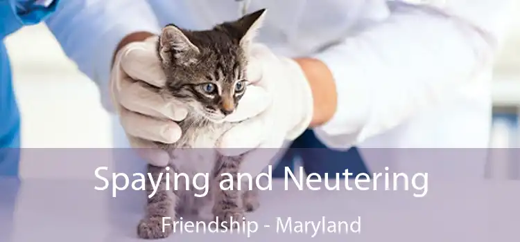 Spaying and Neutering Friendship - Maryland