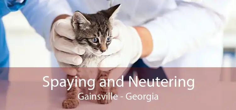 Spaying and Neutering Gainsville - Georgia