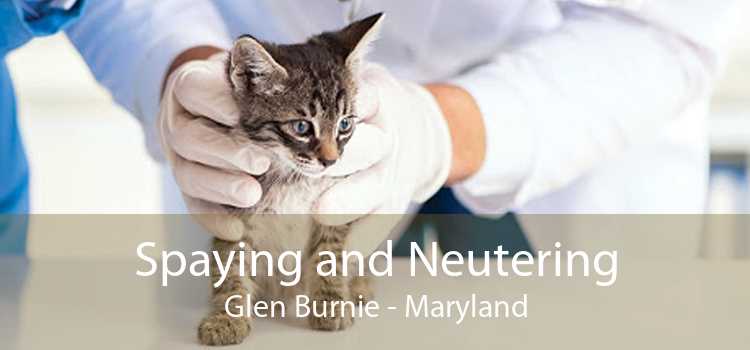 Spaying and Neutering Glen Burnie - Maryland