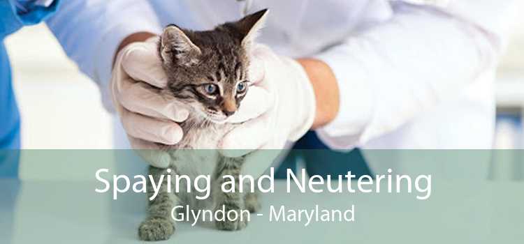 Spaying and Neutering Glyndon - Maryland