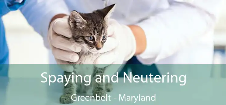 Spaying and Neutering Greenbelt - Maryland