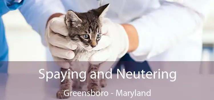 Spaying and Neutering Greensboro - Maryland