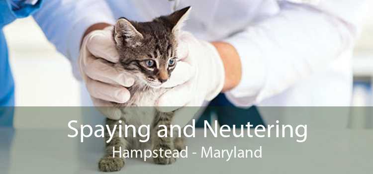 Spaying and Neutering Hampstead - Maryland