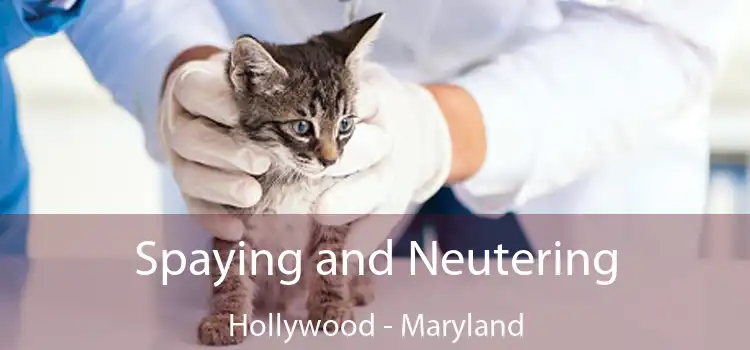 Spaying and Neutering Hollywood - Maryland