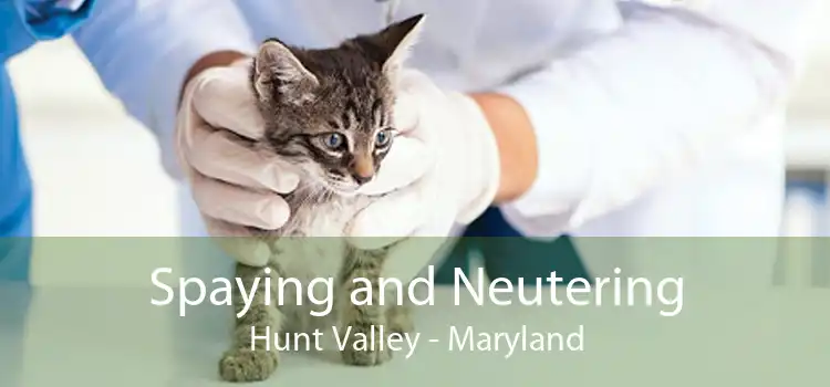 Spaying and Neutering Hunt Valley - Maryland