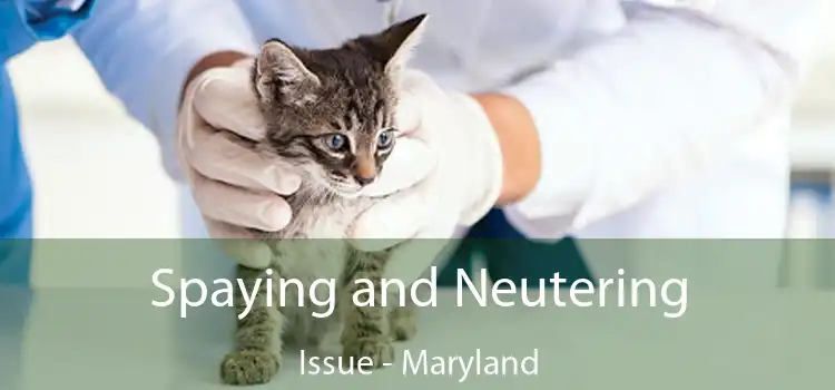 Spaying and Neutering Issue - Maryland