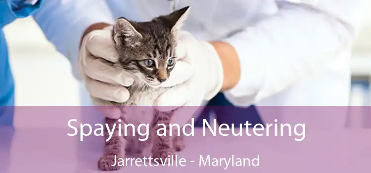 Spaying and Neutering Jarrettsville - Maryland