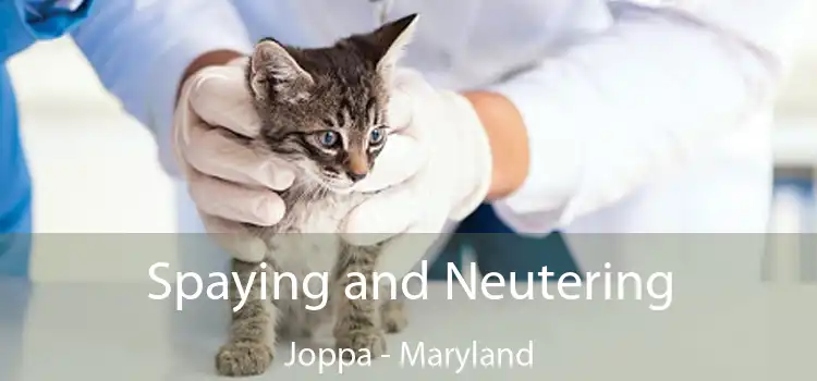 Spaying and Neutering Joppa - Maryland