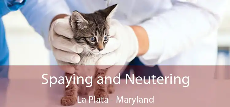 Spaying and Neutering La Plata - Maryland