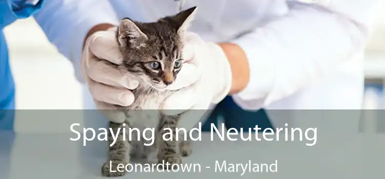 Spaying and Neutering Leonardtown - Maryland