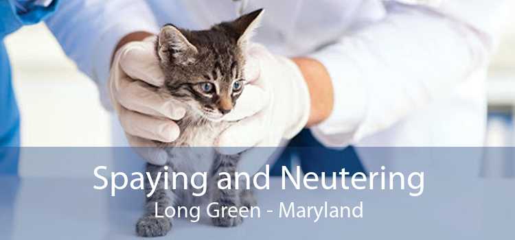 Spaying and Neutering Long Green - Maryland