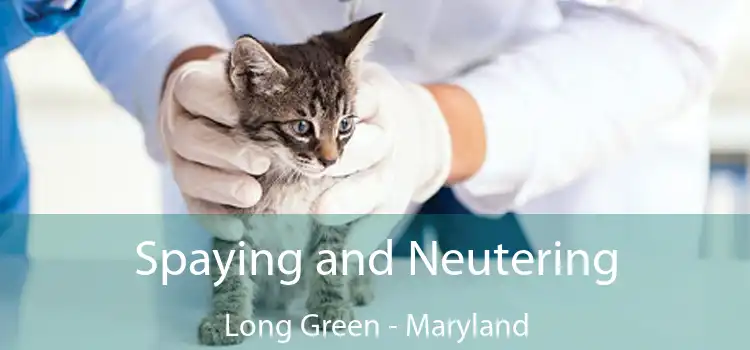 Spaying and Neutering Long Green - Maryland