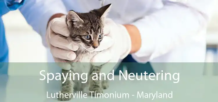 Spaying and Neutering Lutherville Timonium - Maryland