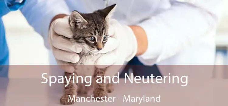 Spaying and Neutering Manchester - Maryland