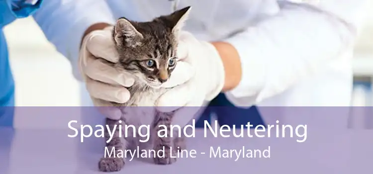 Spaying and Neutering Maryland Line - Maryland