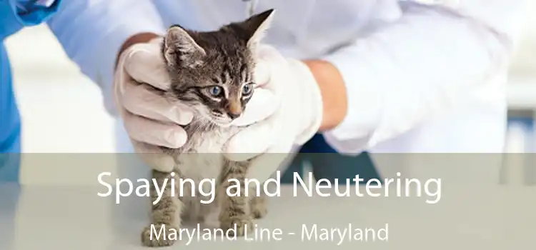 Spaying and Neutering Maryland Line - Maryland