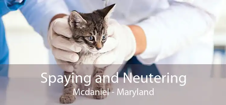 Spaying and Neutering Mcdaniel - Maryland