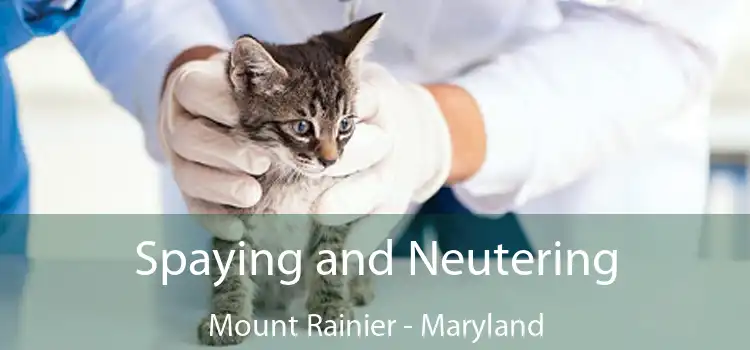 Spaying and Neutering Mount Rainier - Maryland