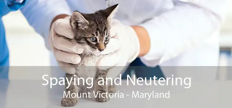 Spaying and Neutering Mount Victoria - Maryland