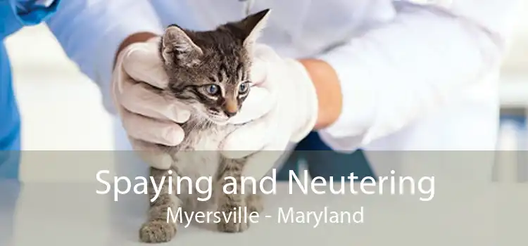 Spaying and Neutering Myersville - Maryland