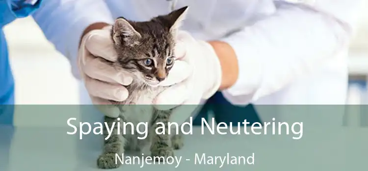 Spaying and Neutering Nanjemoy - Maryland