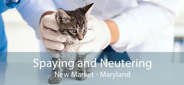 Spaying and Neutering New Market - Maryland