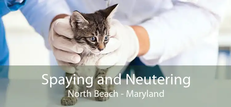 Spaying and Neutering North Beach - Maryland