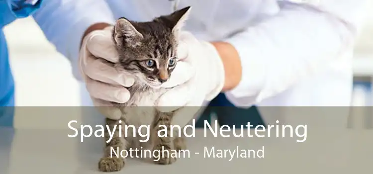 Spaying and Neutering Nottingham - Maryland