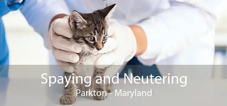 Spaying and Neutering Parkton - Maryland