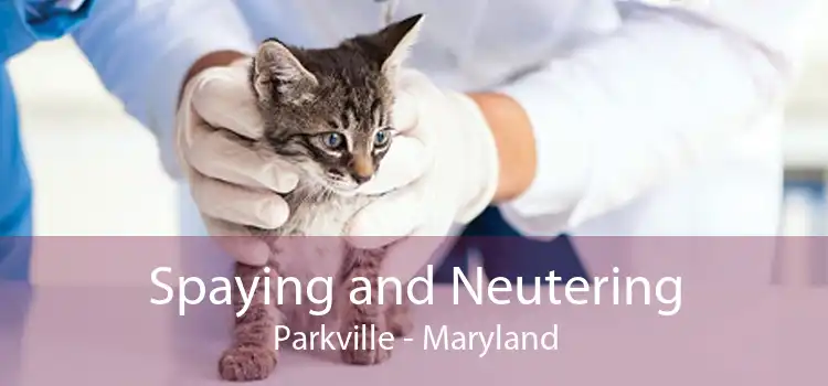 Spaying and Neutering Parkville - Maryland