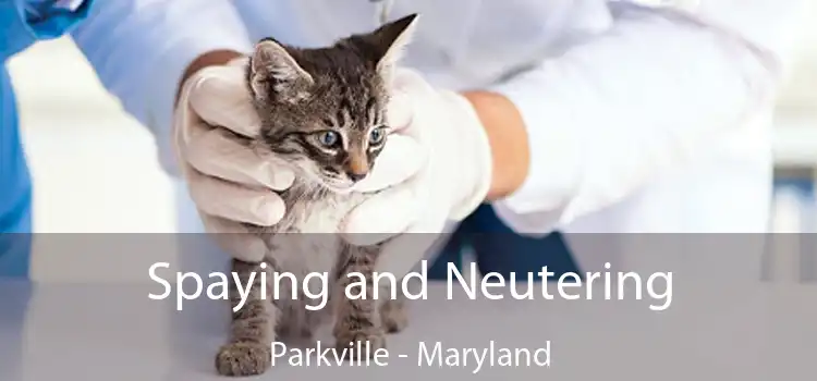 Spaying and Neutering Parkville - Maryland