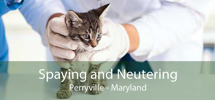 Spaying and Neutering Perryville - Maryland