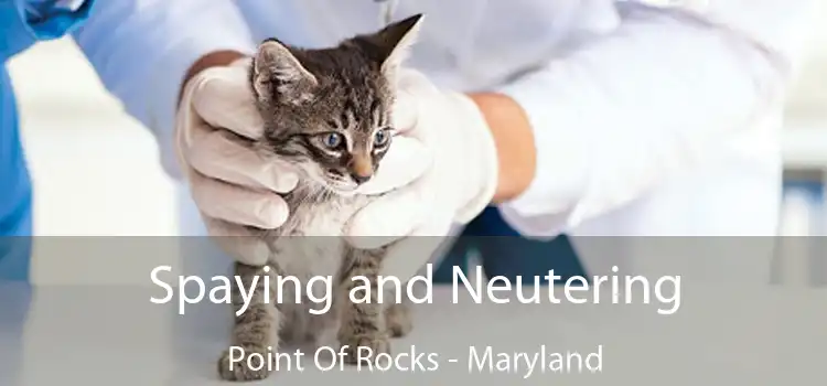 Spaying and Neutering Point Of Rocks - Maryland