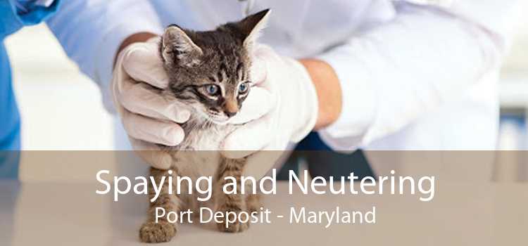 Spaying and Neutering Port Deposit - Maryland