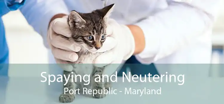 Spaying and Neutering Port Republic - Maryland