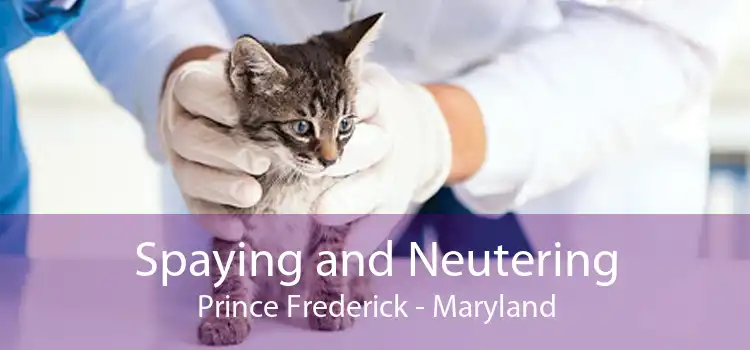 Spaying and Neutering Prince Frederick - Maryland