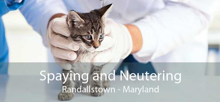 Spaying and Neutering Randallstown - Maryland