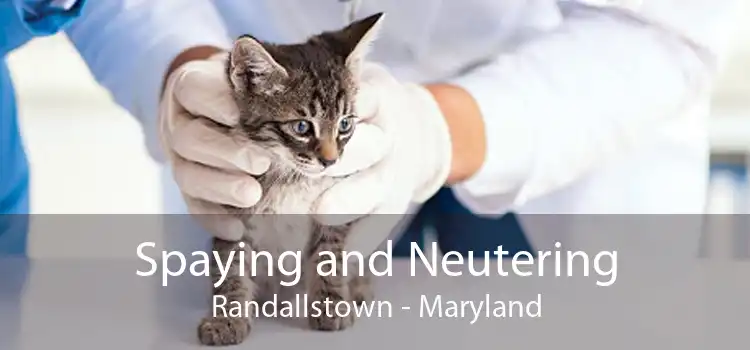 Spaying and Neutering Randallstown - Maryland
