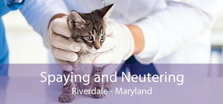 Spaying and Neutering Riverdale - Maryland
