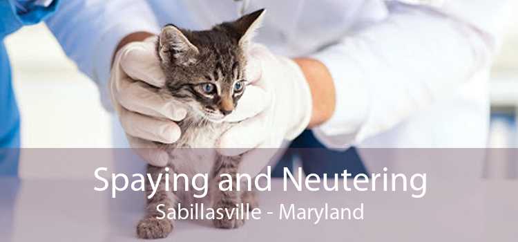 Spaying and Neutering Sabillasville - Maryland