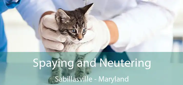 Spaying and Neutering Sabillasville - Maryland