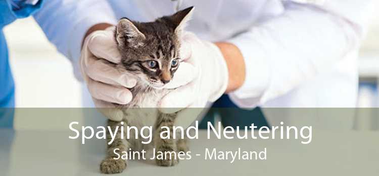 Spaying and Neutering Saint James - Maryland