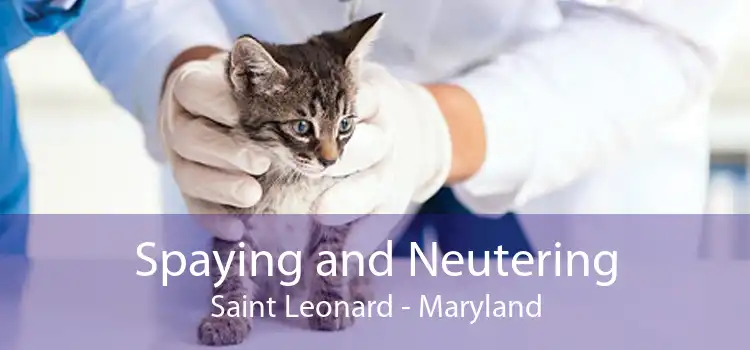 Spaying and Neutering Saint Leonard - Maryland