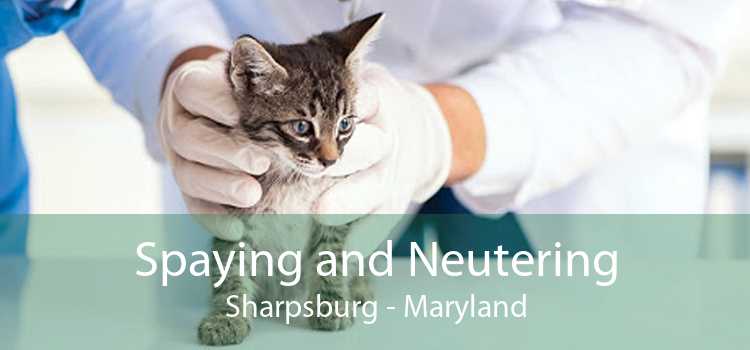 Spaying and Neutering Sharpsburg - Maryland