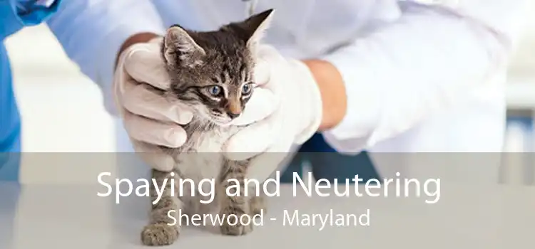 Spaying and Neutering Sherwood - Maryland